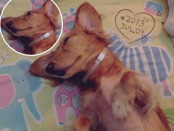 20251024-d4h3b 20251024-d4h3b