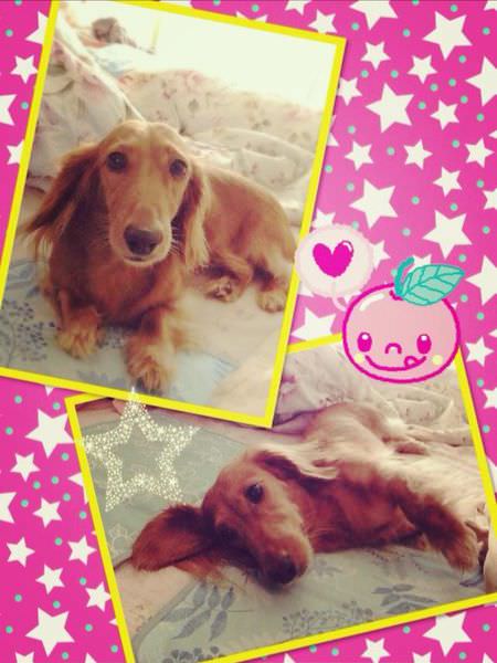 20251024-f5pqu 20251024-f5pqu