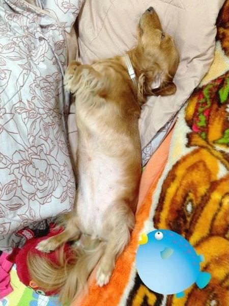 20251024-ibbs9 20251024-ibbs9