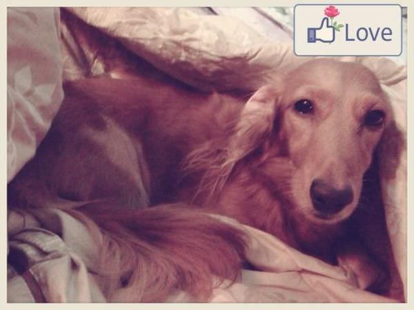 20251024-kffjo 20251024-kffjo