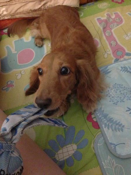 20251024-lcgkh 20251024-lcgkh