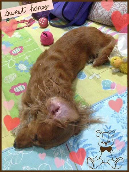 20251024-r6gpr 20251024-r6gpr