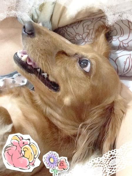 20251024-swv97 20251024-swv97