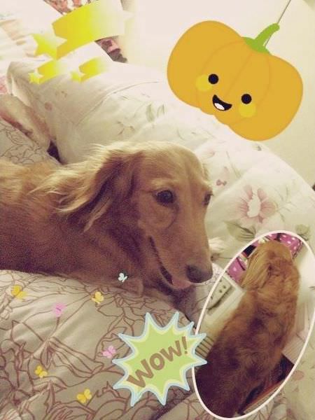 20251024-tgwqf 20251024-tgwqf