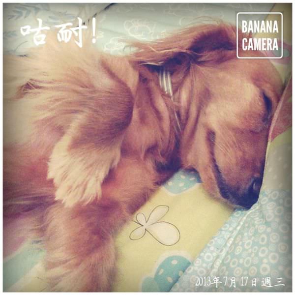 20251024-tubp0 20251024-tubp0