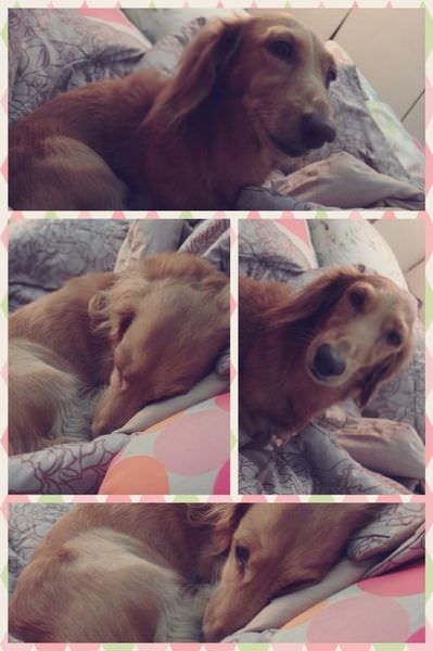 20251024-w31ac 20251024-w31ac