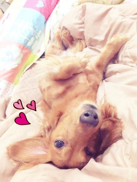 20251024-wehje 20251024-wehje