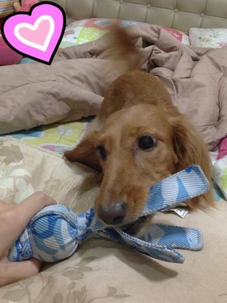 20251024-xe2bk 20251024-xe2bk