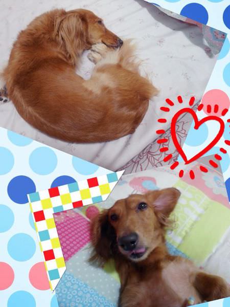 20251024-yc7os 20251024-yc7os