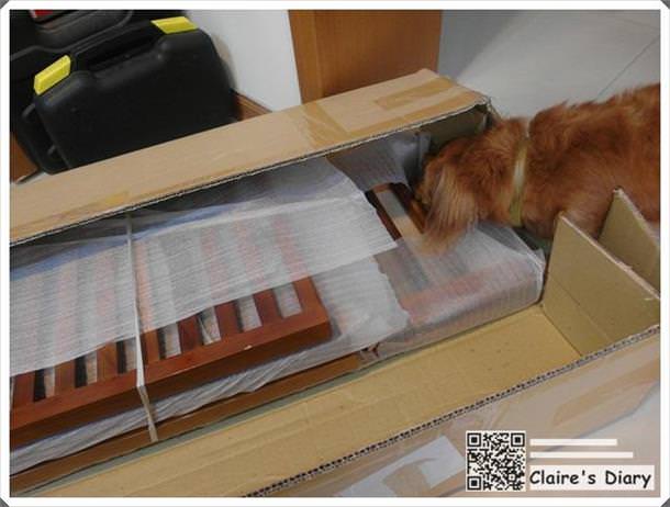 20251024-1pcfn 20251024-1pcfn