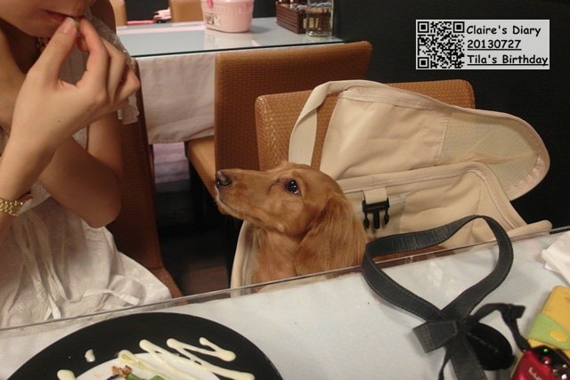 20251024-1yyca 20251024-1yyca