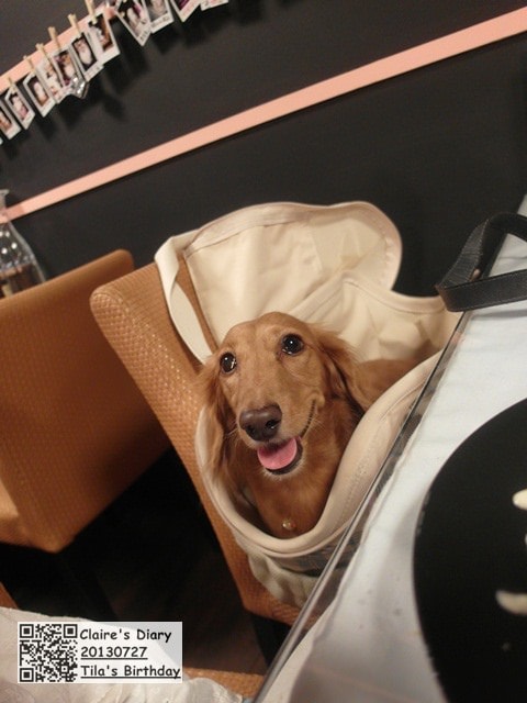 20251024-2n3va 20251024-2n3va