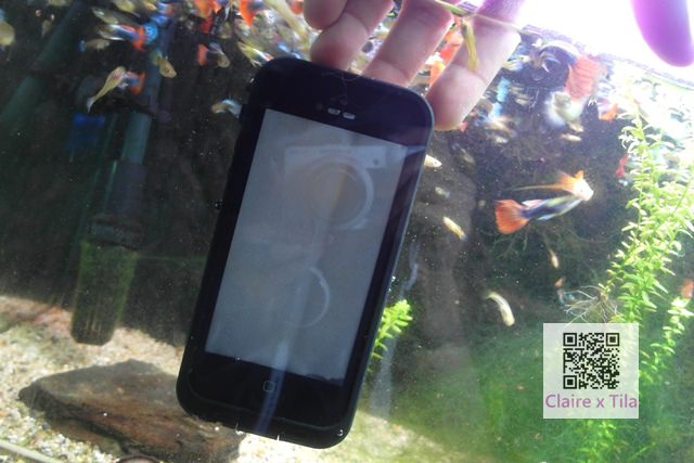 20251024-8lc7r 20251024-8lc7r