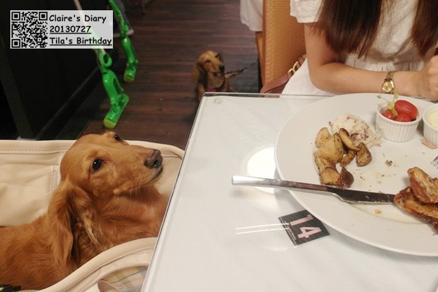 20251024-cesmg 20251024-cesmg