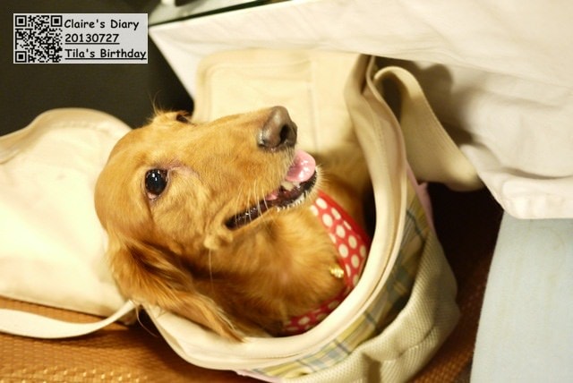 20251024-ifsoh 20251024-ifsoh