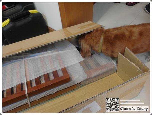 20251024-k9jx2 20251024-k9jx2