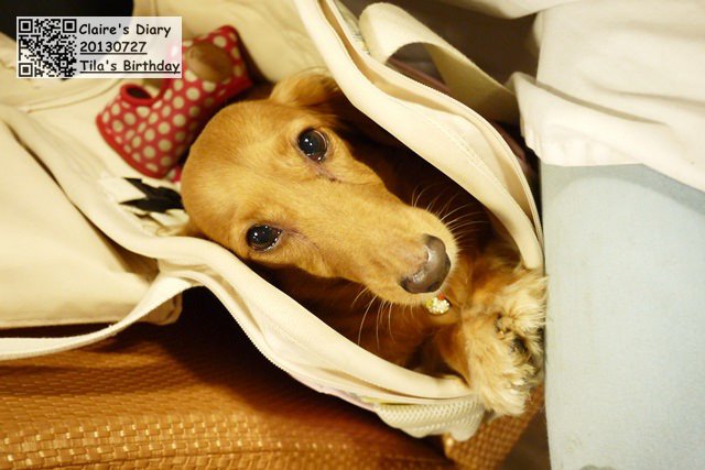 20251024-nt2dv 20251024-nt2dv