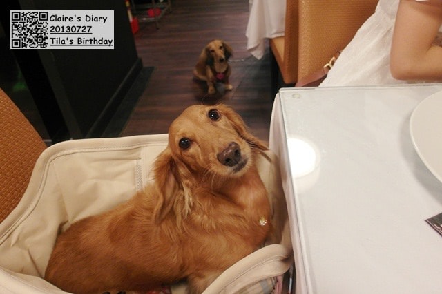 20251024-stvfh 20251024-stvfh