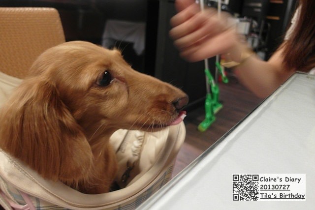 20251024-yui45 20251024-yui45