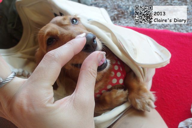 20251024-0h5wq 20251024-0h5wq