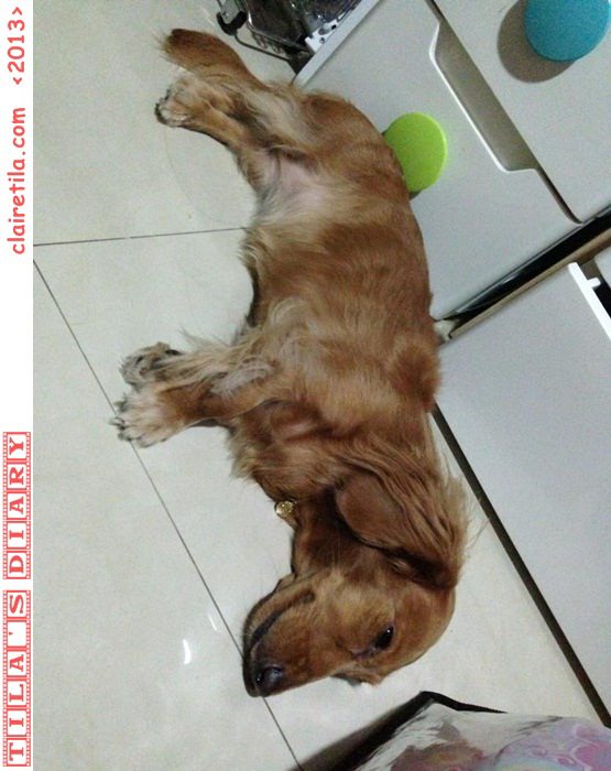 20251024-0zeo0 20251024-0zeo0