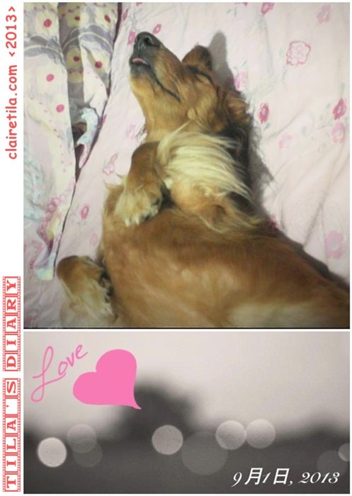 20251024-21k7v 20251024-21k7v