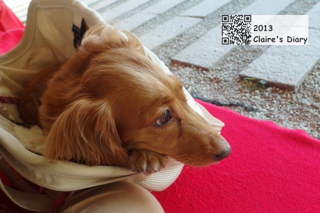 20251024-3ziqe 20251024-3ziqe