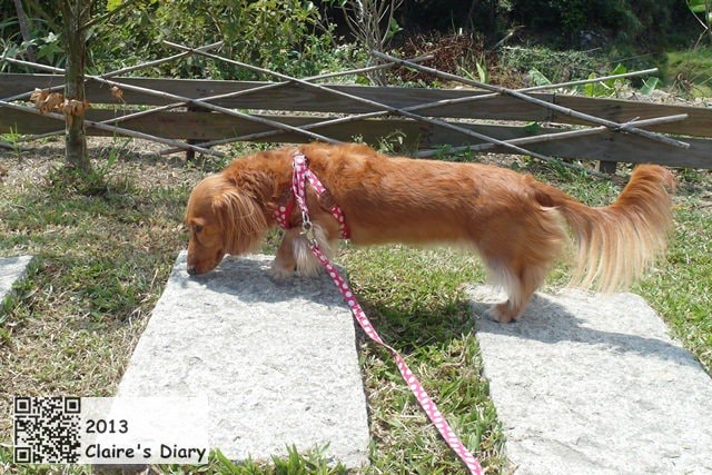 20251024-466hf 20251024-466hf