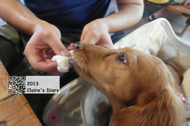 20251024-adpnn 20251024-adpnn