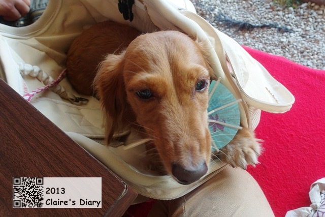 20251024-eqfym 20251024-eqfym