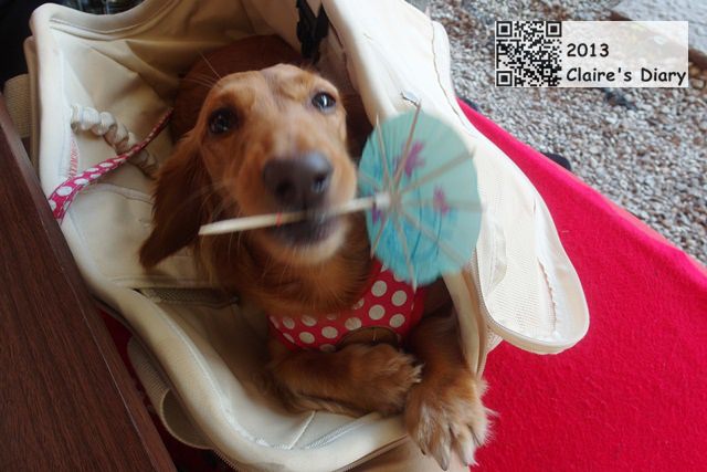 20251024-f80tt 20251024-f80tt