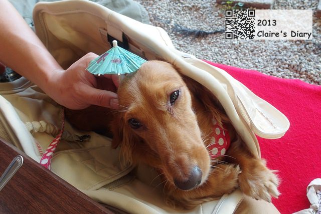 20251024-h3ouf 20251024-h3ouf