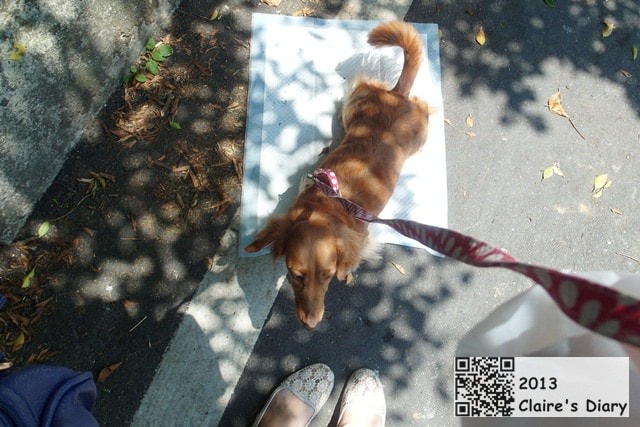 20251024-j958w 20251024-j958w