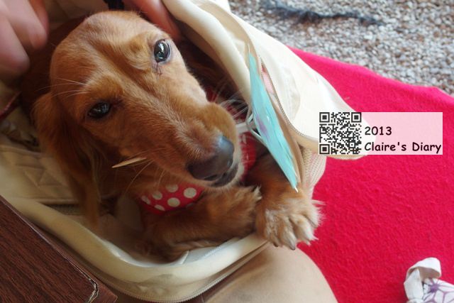 20251024-sz48g 20251024-sz48g