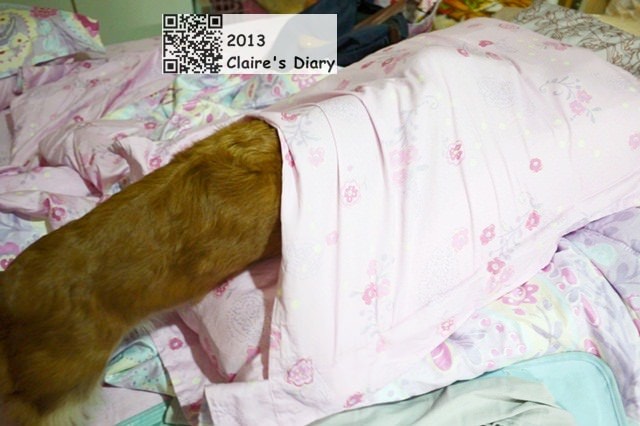 20251024-wd1tj 20251024-wd1tj