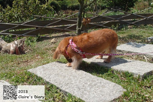 20251024-x00i2 20251024-x00i2