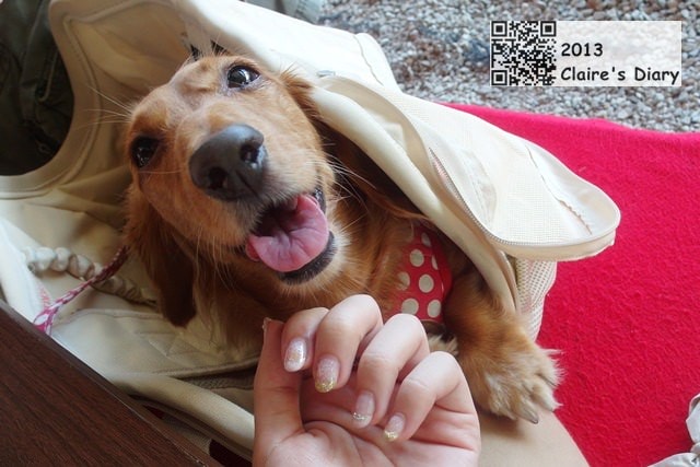 20251024-x5erh 20251024-x5erh