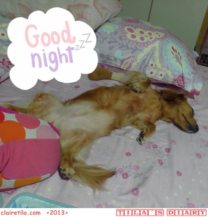 20251024-ye84m 20251024-ye84m