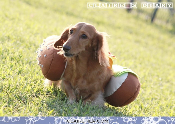 20251024-01bnz 20251024-01bnz