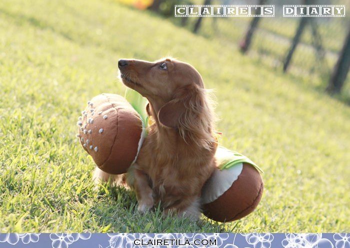 20251024-1nsg1 20251024-1nsg1