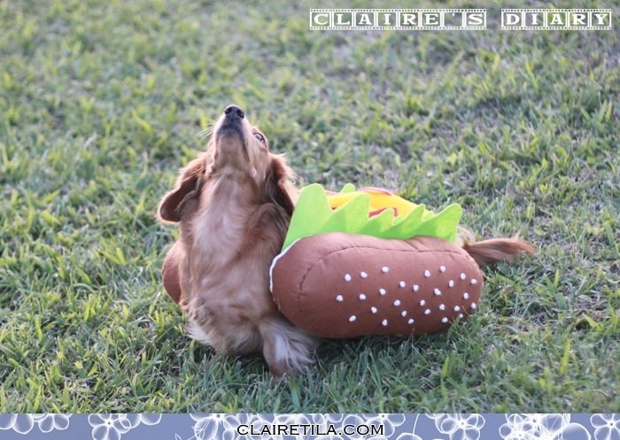 20251024-2zig6 20251024-2zig6