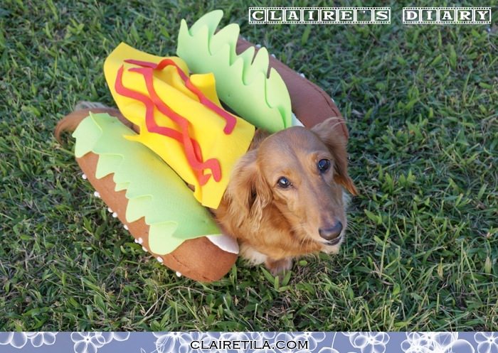 20251024-33oin 20251024-33oin