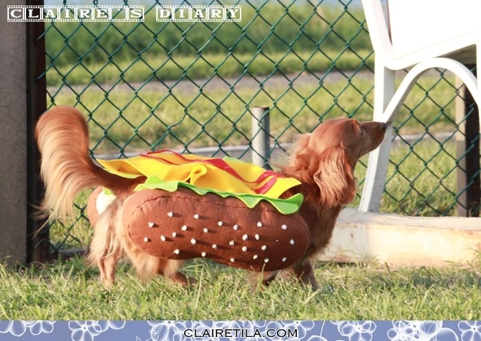 20251024-38zb8 20251024-38zb8