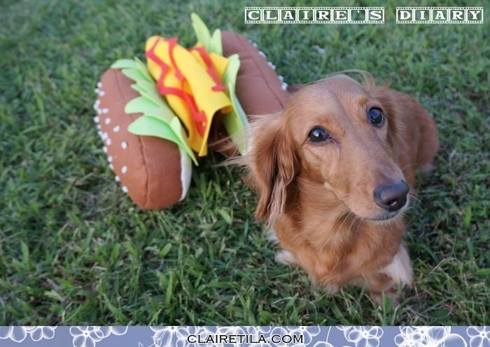 20251024-4119p 20251024-4119p