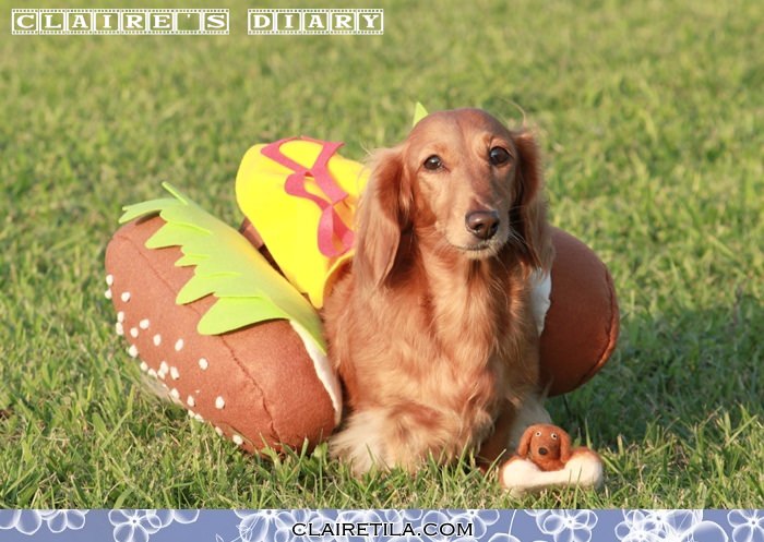 20251024-4fvz8 20251024-4fvz8