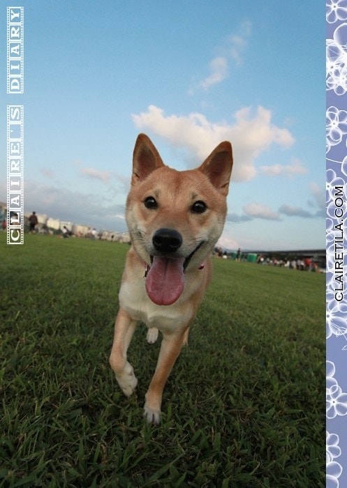 20251024-5aq20 20251024-5aq20