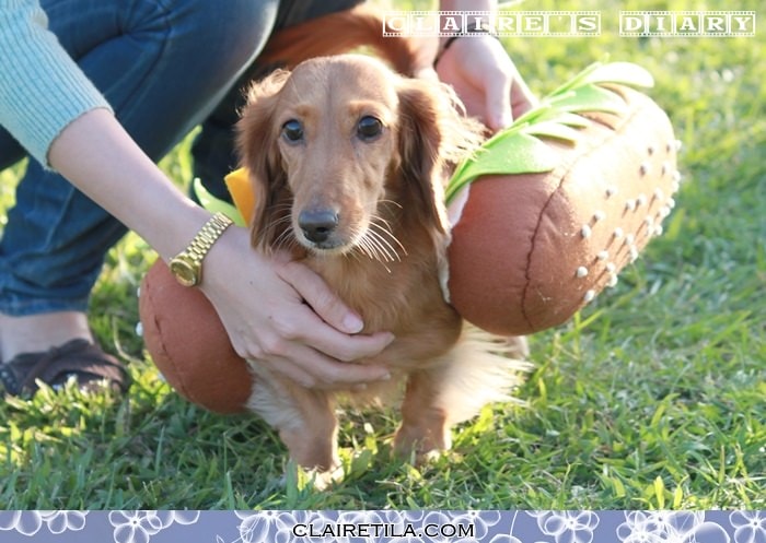 20251024-74czd 20251024-74czd