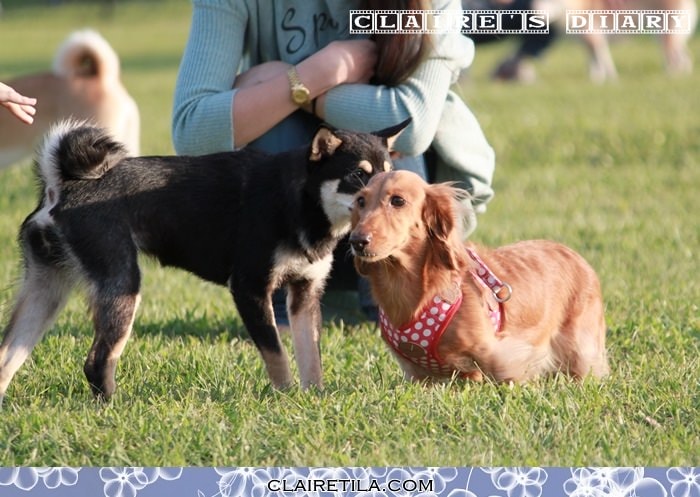 20251024-971sk 20251024-971sk