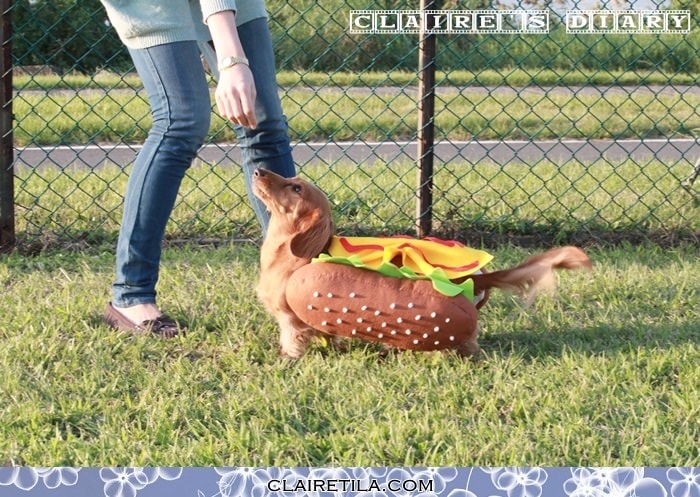 20251024-bewot 20251024-bewot