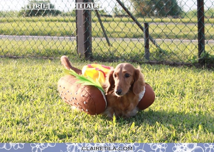 20251024-c523t 20251024-c523t